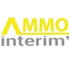 ammo interim