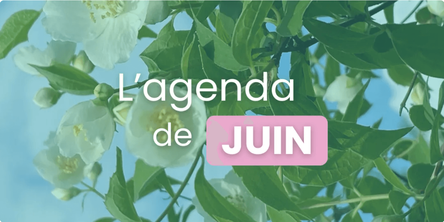 Capture decran 2025 07 24 155029 KEY FORM & Solutions